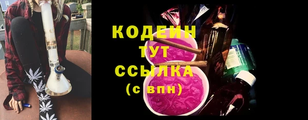 крисы Медвежьегорск