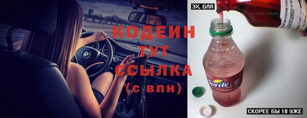 крисы Медвежьегорск