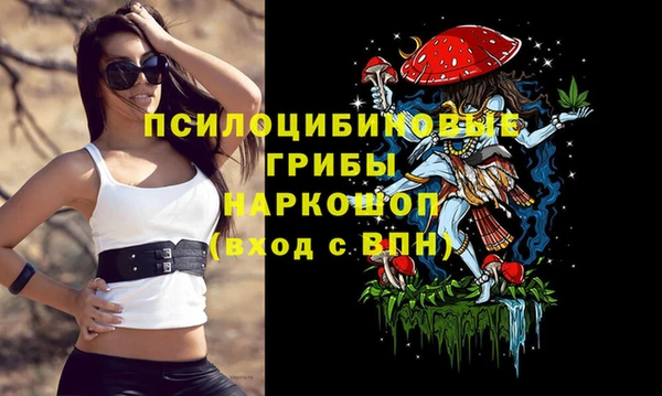 Альфа ПВП Медногорск