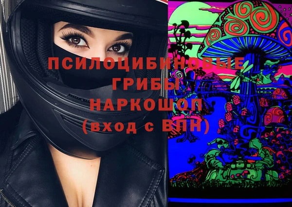 крисы Медвежьегорск