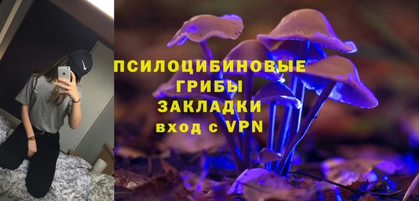 Альфа ПВП Медногорск