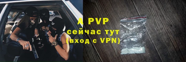крисы Медвежьегорск