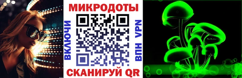 даркнет официальный сайт  Павлово  Галлюциногенные грибы Psilocybe  магазин продажи  