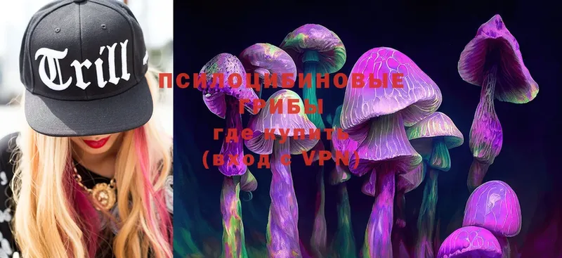 Галлюциногенные грибы MAGIC MUSHROOMS  продажа наркотиков  Павлово 