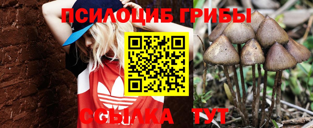Псилоцибиновые грибы Psilocybe  Псилоцибиновые грибы ЛСД  Павлово  Вход с VPN 