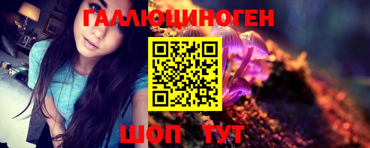Галлюциногенные грибы Psilocybine cubensis Павлово